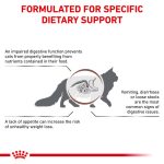 Royal Canin Veterinary Health Nutrition Gastrointestinal 4