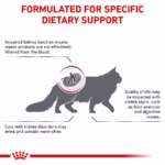 Royal Canin Veterinary Renal Select 1