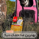 اوریجن اوریجینال ۲