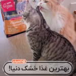 اوریجن اوریجینال ۶۴