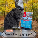 سیکس فیش ۶۴۲ا