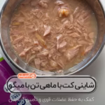 شاینی کت