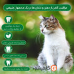 پودر دنتال برند وتست بست امریکا