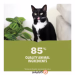 ACANA Premium Pate Adult Wet Cat Food Lamb x
