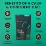 Calm & Confident 2