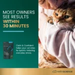 Calm & Confident 4