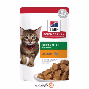پوچ هیلز گربه مدل کیتن (بچه گربه)