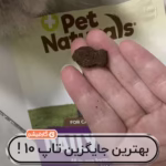 مولتی
