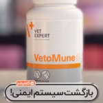 وتومون ۲