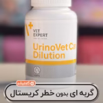 یورینو وت