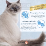 پوست و مو اینابا