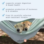 Bark & Whiskers® Complete Probiotics۱۱