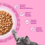 WHISKAS poultry feasts jelly kitten 2 12 months wet cat food