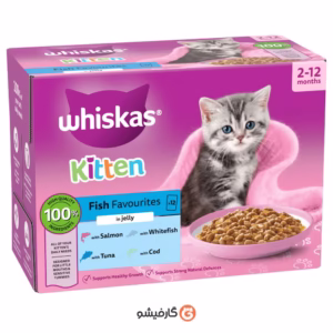پوچ کیتن (بچه گربه) ویسکاس با ۴ طعم ماهی