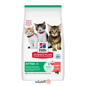 غذا خشک کیتن (بچه گربه) هیلز با طعم ماهی سالمون